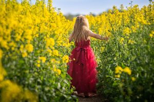 petite fille robe rouge au milieu d un champ fleuri jaune